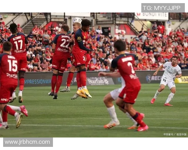 101惠灵顿凤凰迎战墨尔本城力争主场胜利展现球队实力